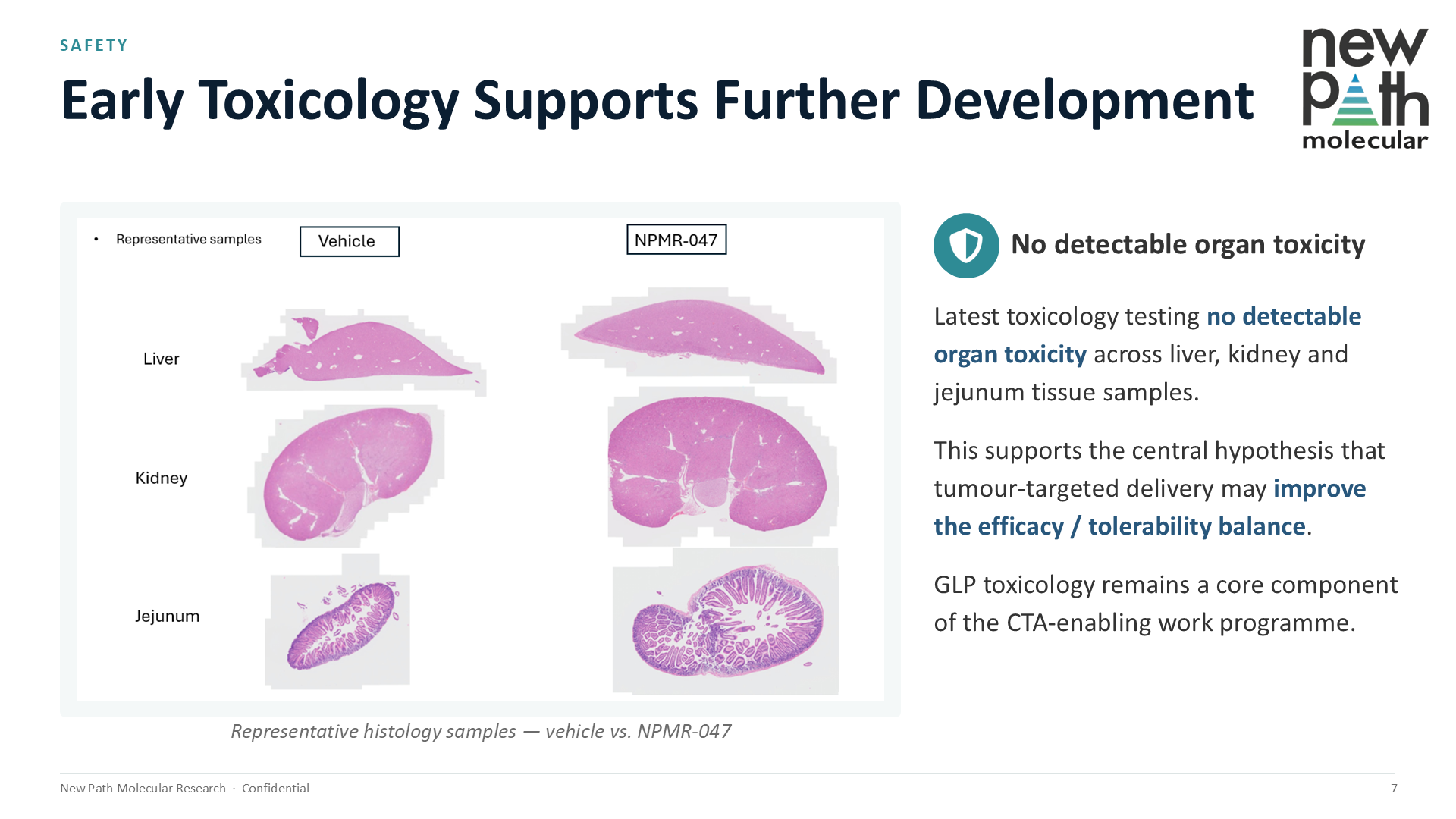 Six histology images comparing vehicle control versus NMPR-047-treated tissue samples from liver, kidney and jejunum. No visible morphological differences between the two groups.